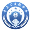 青岛微警务安卓版