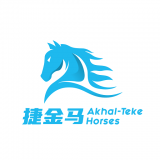捷金马免费版