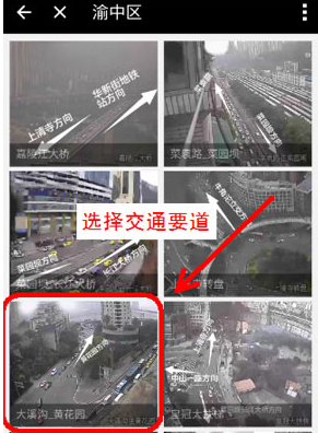 支付宝中找到查询路况入口的具体操作流程