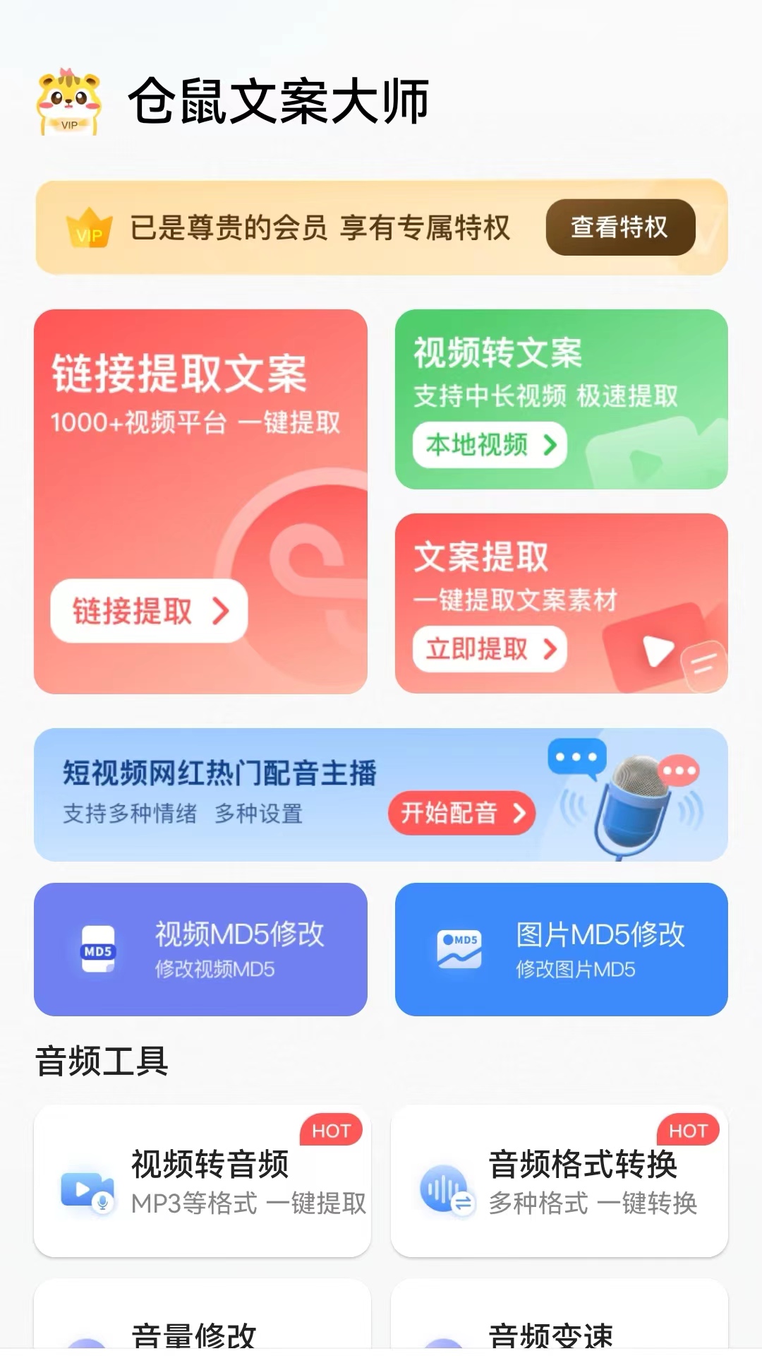 仓鼠文案大师最新版