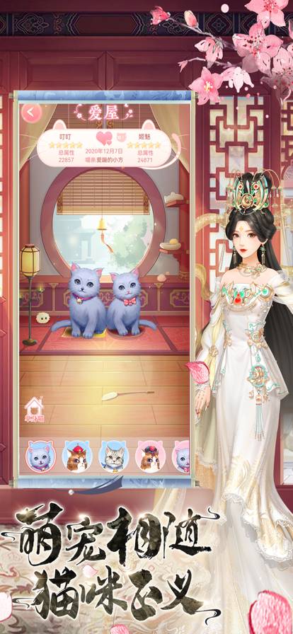 宫：秘传官网版