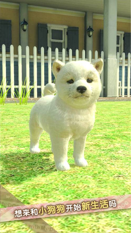 我的梦中情狗安卓版