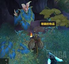 魔兽世界古怪的宝珠任务怎么做
