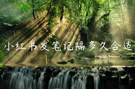小红书多久发一次合适