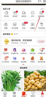 淘特app如何申请退款