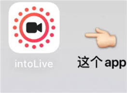 intoLive官网入口在哪