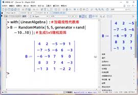 Maple能解决线性代数问题吗