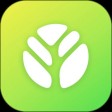 树新风treeow最新版