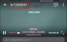 如何使用B站 BV号