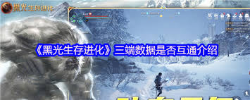 黑光生存进化是否数据互通