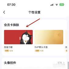 百度网盘怎么设置个性换肤