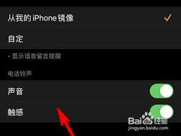 Apple watch能否设置电话铃声