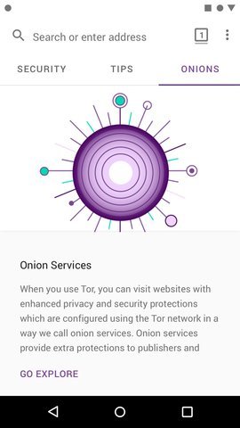 Tor浏览器最新版