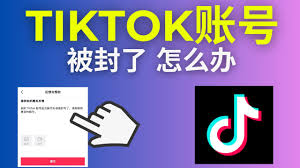 TikTok账号被封号如何解决