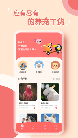 鹦鹉翻译器最新版