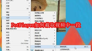 PotPlayer怎么截取视频片段