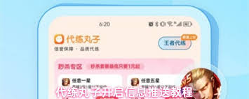 代练丸子如何查看能力标签