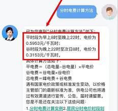 网上国网如何申请晚上半价电费