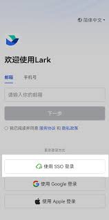 Lark自动退出登录如何解决