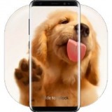 狗狗舔屏手机动态壁纸最新版