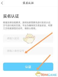 代练丸子如何查看实名认证
