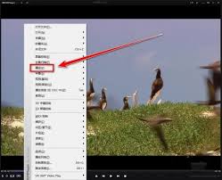 kmplayer plus怎么加速