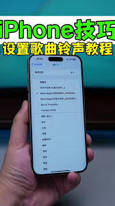 iPhone16如何设置来电铃声