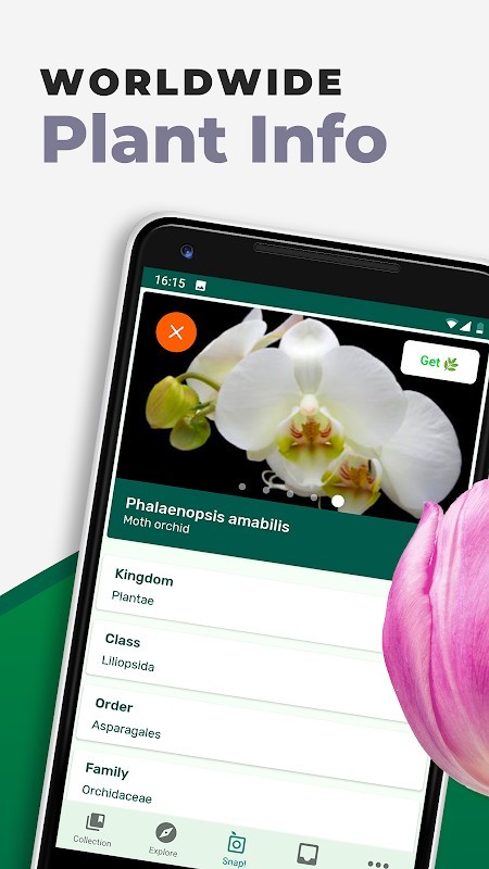 PlantSnap官网版