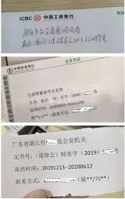 网易支付被冻结会自动解除吗