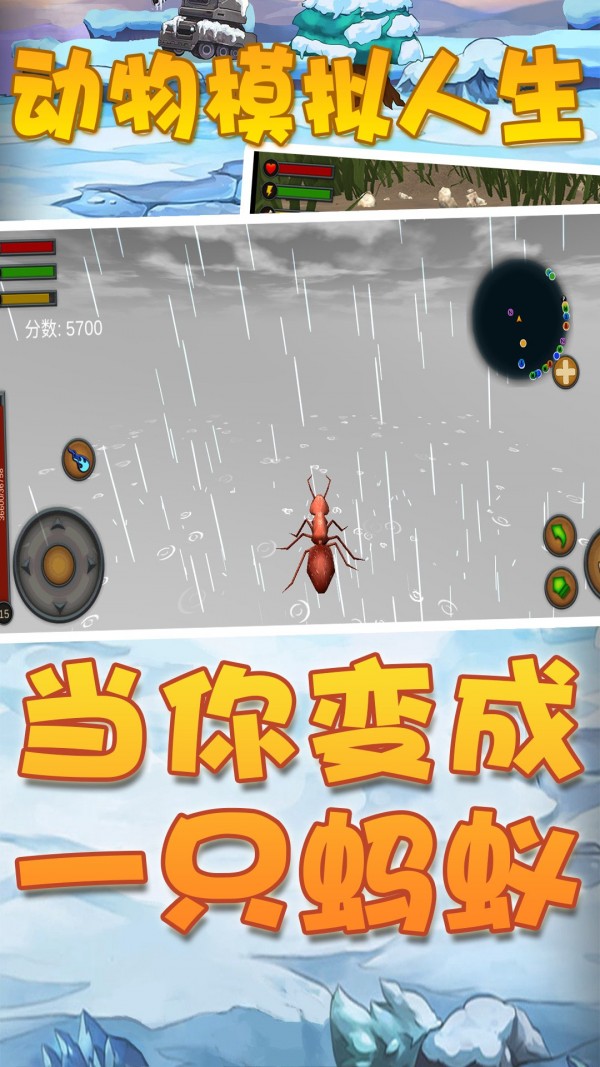动物模拟人生官网版
