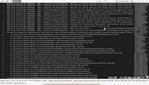 如何在Windows查看5G大文件