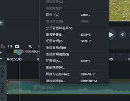 Camtasia2024中动态花字字幕效果是什么