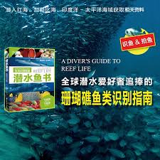 海洋探索者终极攻略是什么