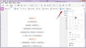 Adobe Acrobat XI Pro简体中文精简版怎么添加水印