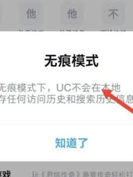 uc浏览器无痕模式设置在哪里