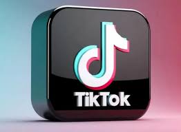 TikTok官网入口在哪