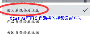 canva可画如何设置自动播放视频