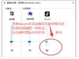 抖音网页版视频没声音如何解决
