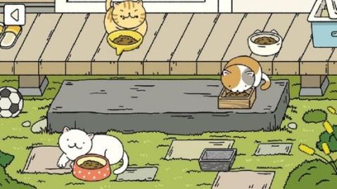 小可爱的家官网版
