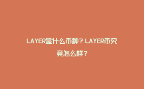 layer币是什么