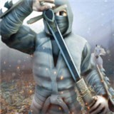 忍者刺客格斗免费版