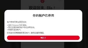 TikTok账号被封的原因是什么