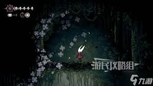 空洞骑士丝之歌祈愿花芯仪式任务怎么完成