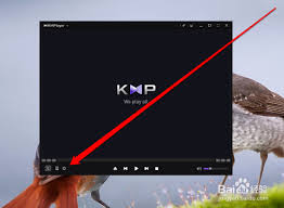 KMPlayer如何设置播放列表