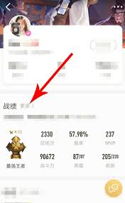 王者营地如何查看战绩
