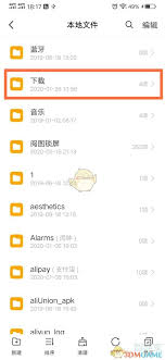 vivo浏览器下载的视频如何导出