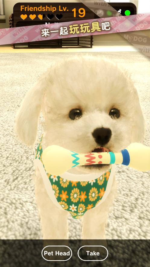 我的梦中情狗最新版