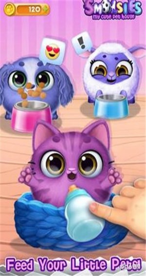 我可爱的宠物屋