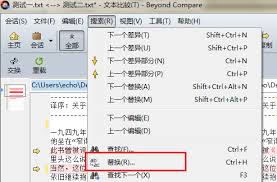 Beyond Compare如何进行文本替换