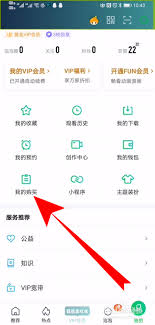 爱奇艺极速版如何开发票